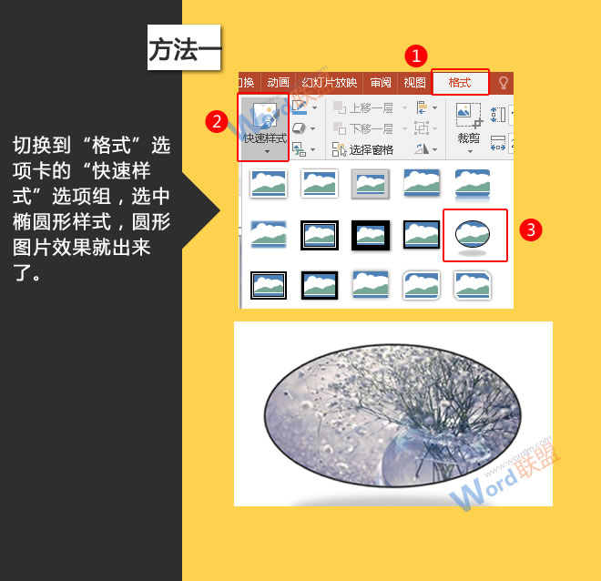 柯尼卡AF镜头，深度剖析二次元世界中的智慧象征